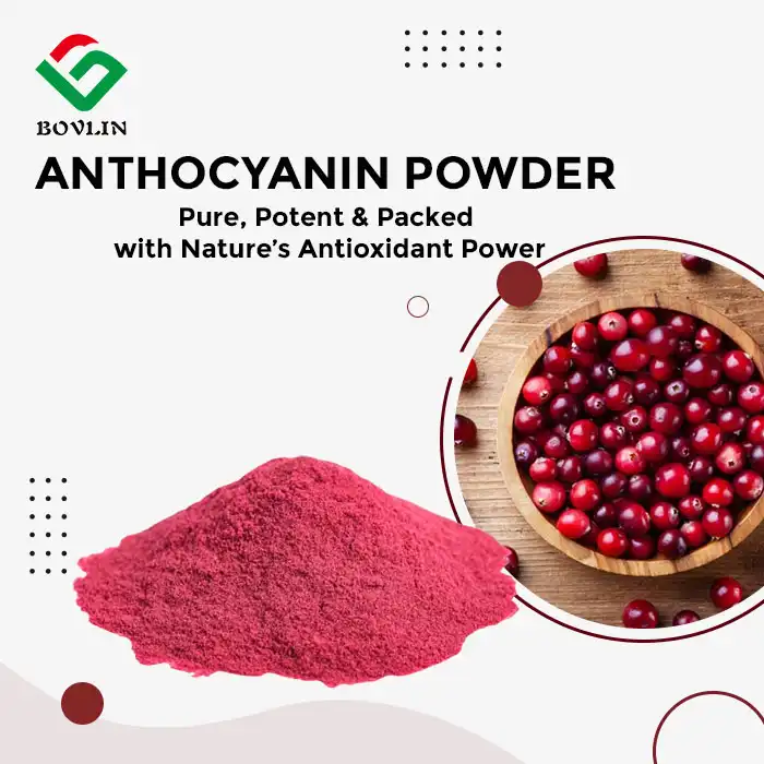 Cranberry Fruit Powder